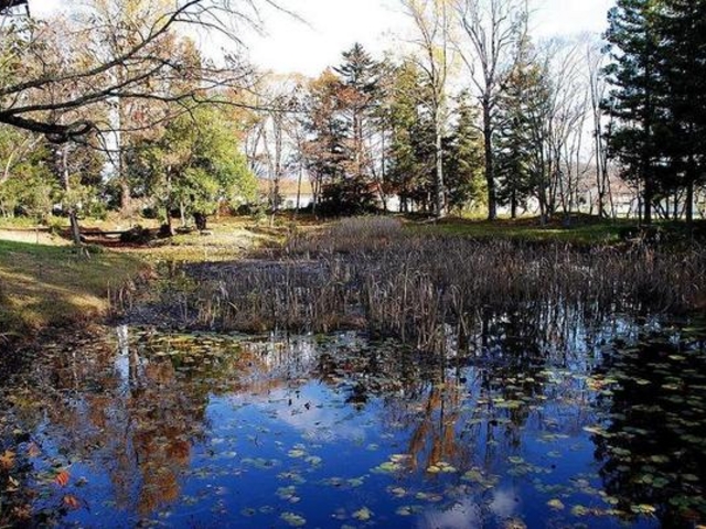 軻遇突智さんの院庄館跡の投稿写真1