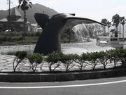 GUNBO★さんの太地くじら浜公園の投稿写真1