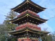 ヨンさんの板橋不動尊(清安山願成寺不動院)の投稿写真1