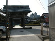 kazumiringoさんの専念寺の傘松の投稿写真1