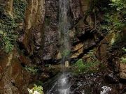 軻遇突智さんの桃尾の滝の投稿写真1