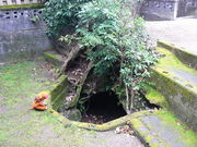 てえすけパパさんのかくれ念仏洞の投稿写真1