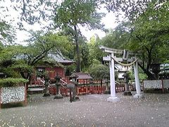 世良田東照宮境内の写真1