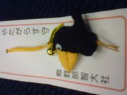 あぬりさんの熊野那智大社の投稿写真1