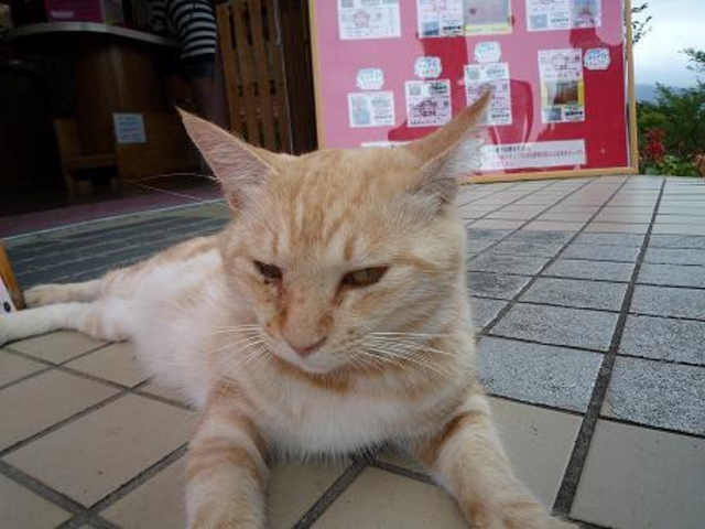 恋人岬