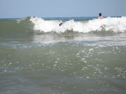 ワタリさんの宇佐美海水浴場の投稿写真1