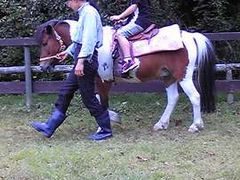 すけさんの道の駅 丹後王国「食のみやこ」への投稿写真1