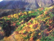 あちこさんの磐梯山ゴールドラインの投稿写真1