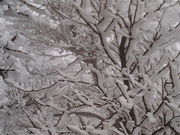 カヨウさんの普賢岳の投稿写真1