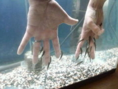 おかやまフォレストパーク ドイツの森の写真1