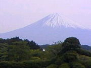 erumamaさんの大石寺の投稿写真1