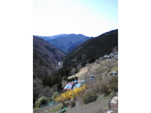 栃本広場