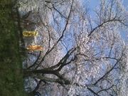 ゆっぴさんの城山公園の投稿写真1