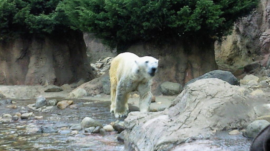 よこはま動物園ズーラシア
