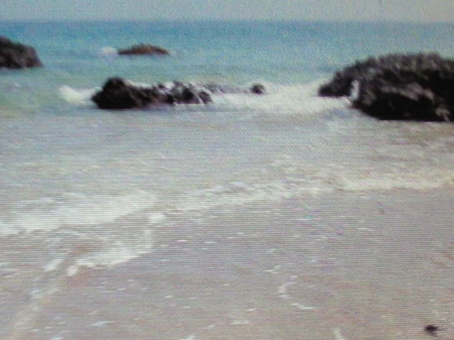 田牛海岸