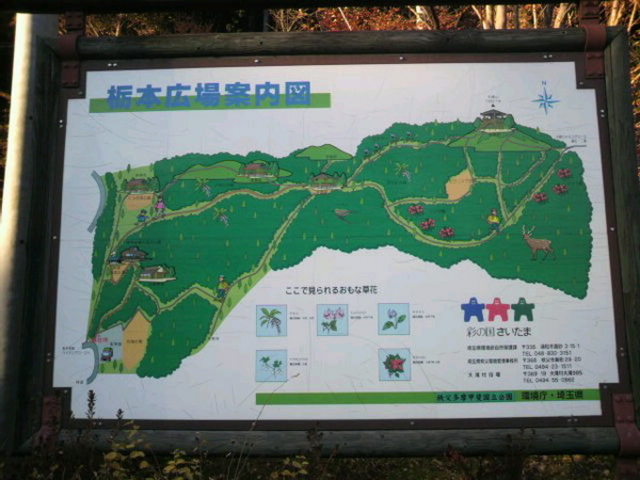 栃本広場