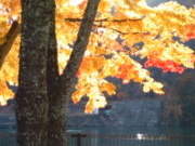 きよももさんの広瀬湖の投稿写真1