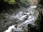 たかぼうさんの特別名勝 三段峡の投稿写真1