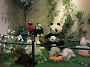 タカちゃんさんのタオル美術館の投稿写真1