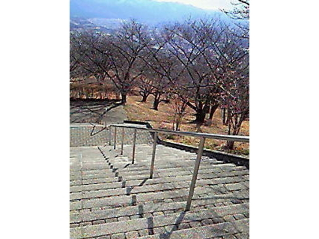 美の山公園