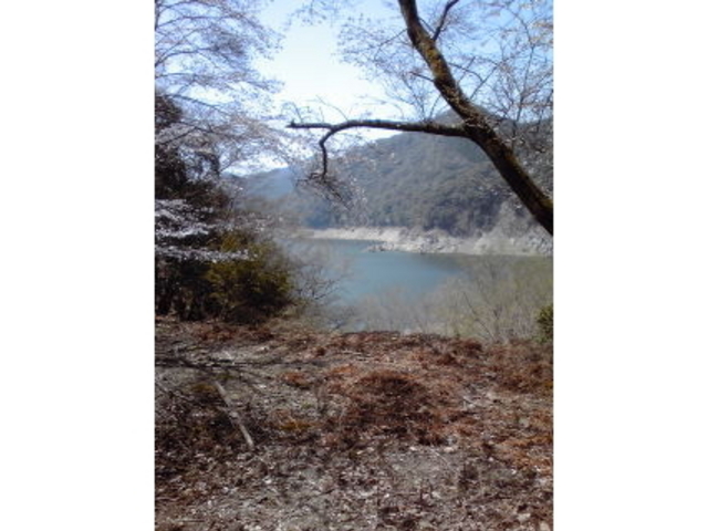 ノリヨさんの鶴田ダムの投稿写真1