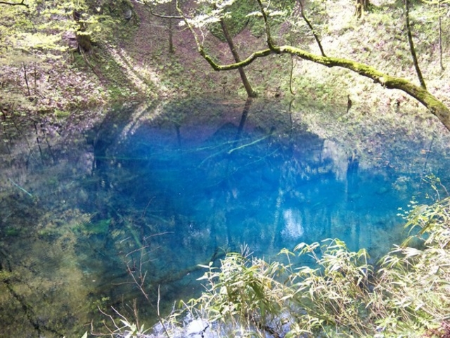 青池