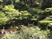 みやっちんぐみやちこ先生さんの徳明園の投稿写真1