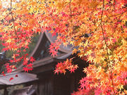 さんぺいさんの城上神社の投稿写真1