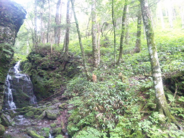 のぐちゃまさんの蓼仙の滝の投稿写真1