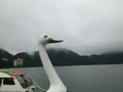 まさんの清芳亭の投稿写真1