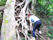 かわうそさんの三佛寺投入堂の投稿写真1