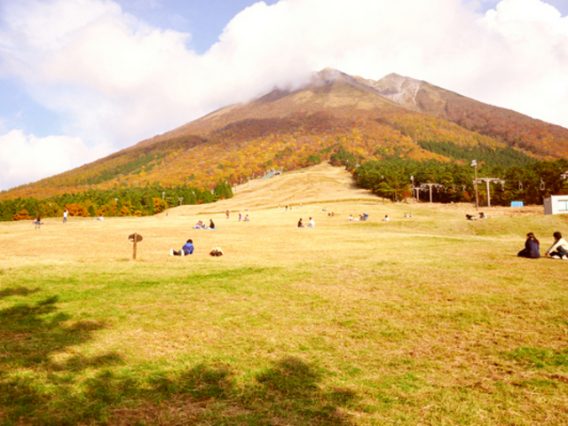 桝水高原の紅葉