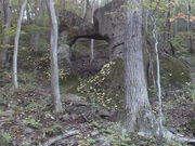 みやっちんぐみやちこ先生さんの西の郷遊歩道の投稿写真1