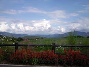 YOU3さんの高原キャベツ畑の投稿写真1