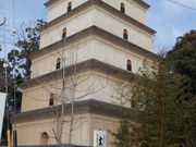 ラリマーさんの無量寺の投稿写真1