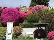 雷雷クーンさんの鶴峯公園の投稿写真1
