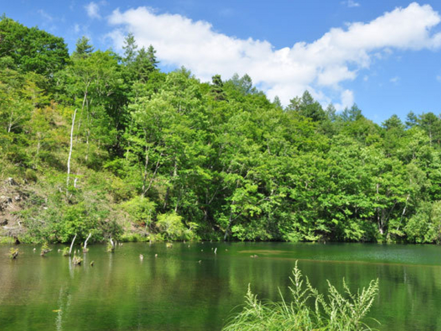 cocottさんの遊亀湖の投稿写真1