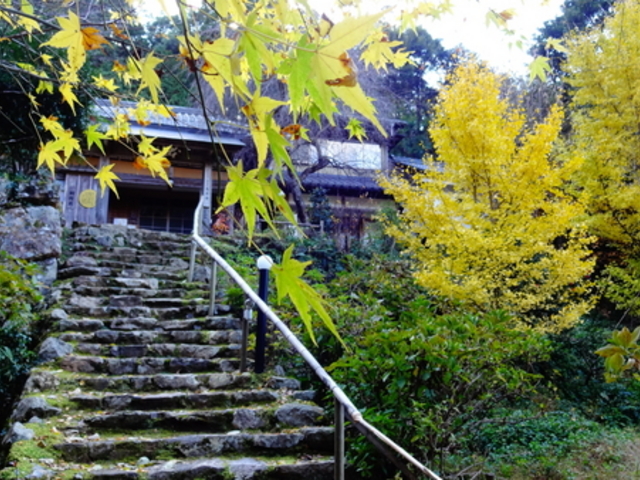 馬居寺