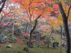 光明禅寺の写真1