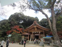 宝満宮 竈門神社の写真1