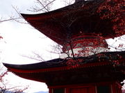 しどーさんの多宝塔の投稿写真1