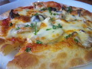 あっちゃんさんのぶなの森の投稿写真1