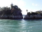 しどーさんの鶏小島の投稿写真1