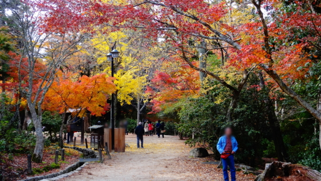 紅葉谷公園