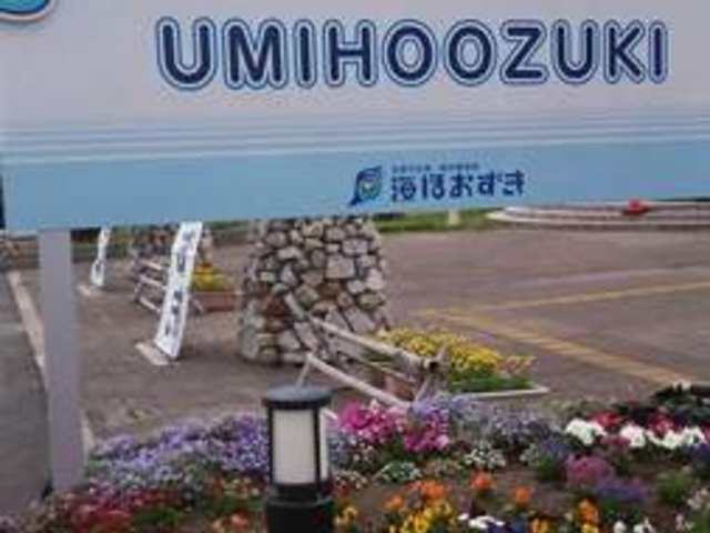 磯体験施設 海ほおずき