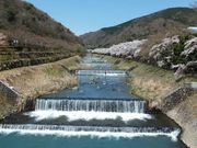 ニコちゃんさんの宮城野温泉の投稿写真1