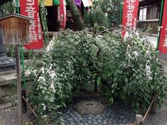 紫雲山頂法寺(六角堂)の写真1