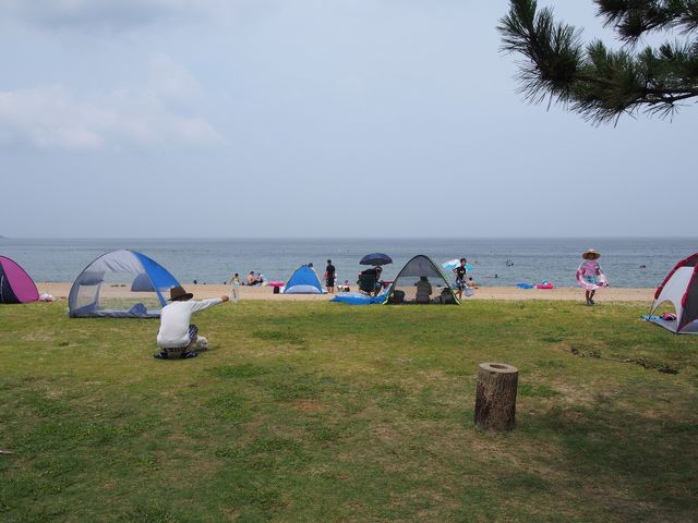 慶野松原海水浴場です。_慶野松原海水浴場