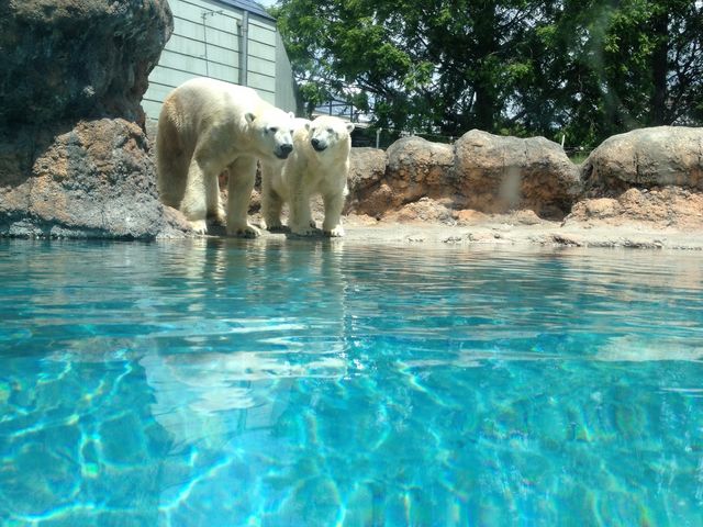 豊橋総合動植物公園(のんほいパーク)