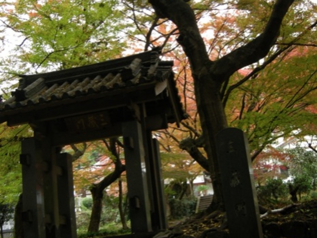 おかめさんの雲興寺の投稿写真1